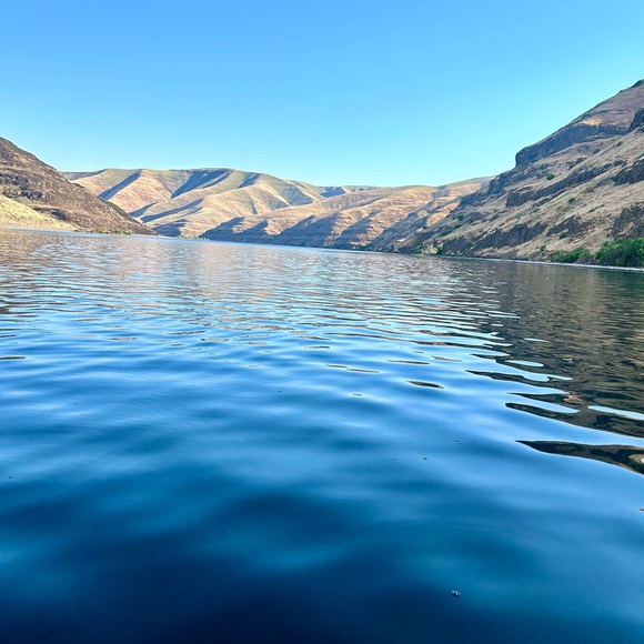 Meet your Posher, Korine - Picture 4 of 6